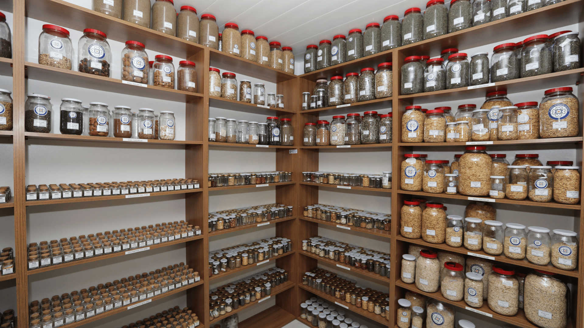 Tıbbi Aromatik Bitkiler Yerel Tohum Merkezi