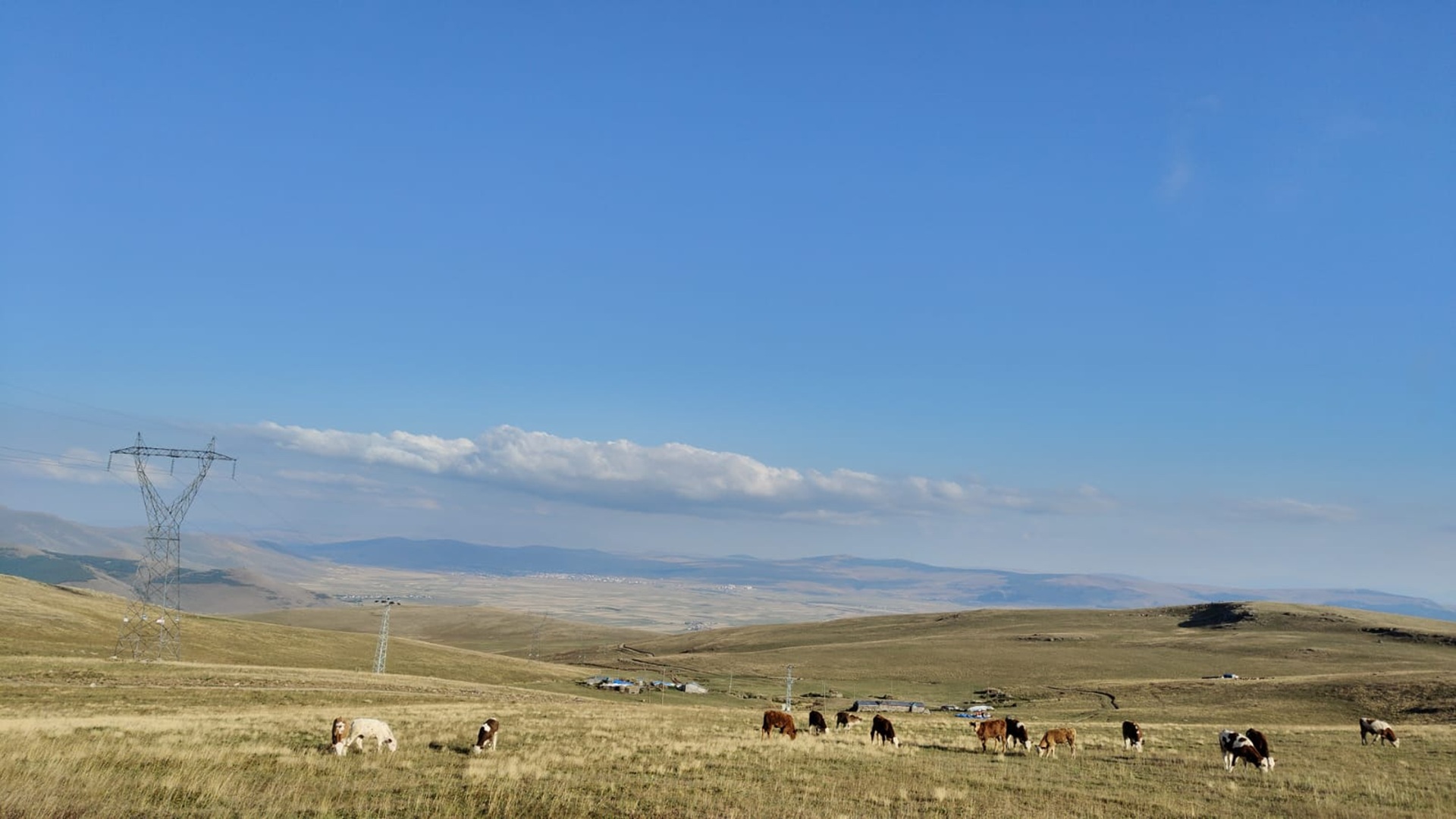 Sarıyamaç Köyü Yaylası