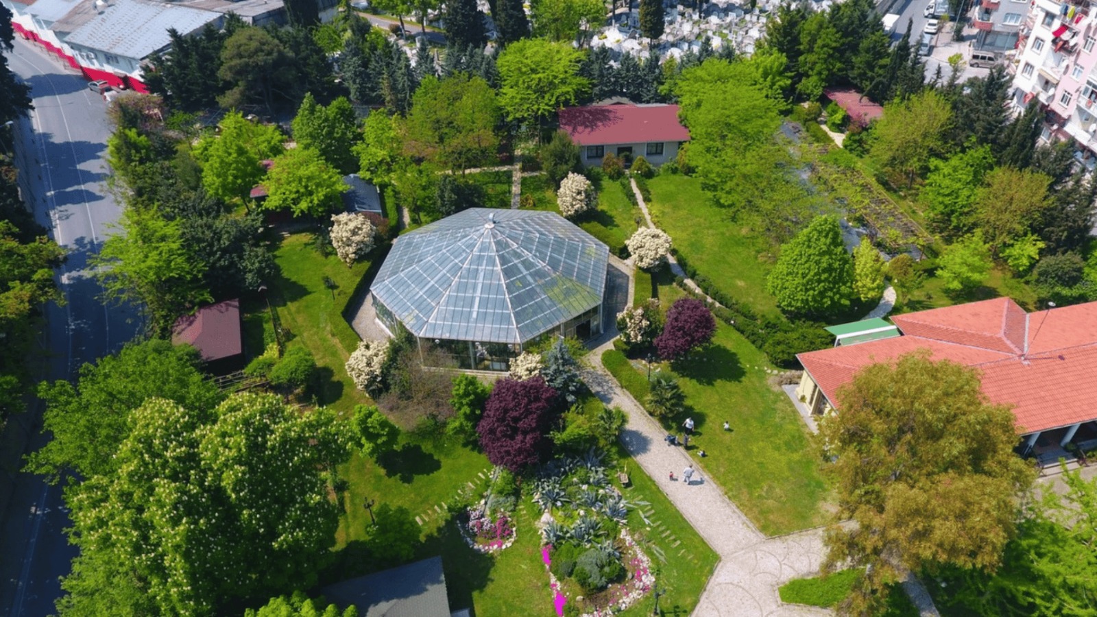 Zeytinburnu Tıbbi Bitkiler Bahçesi