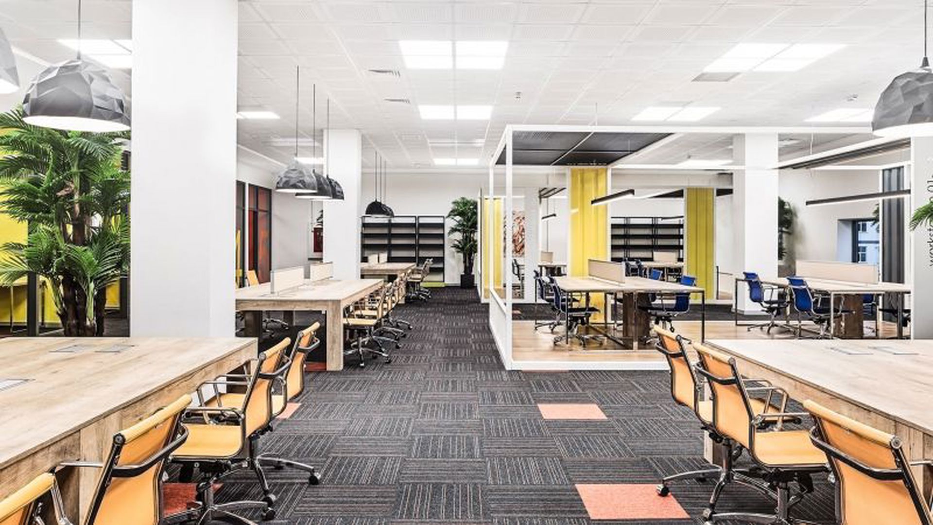 Ordu Üniversitesi Emin Çetinceviz Merkez Kütüphanesi