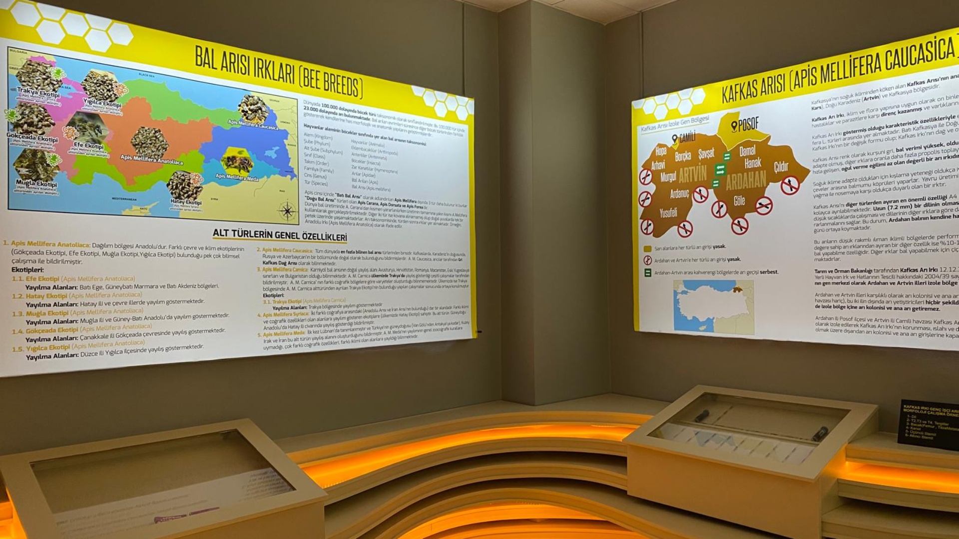 Kafkas Arısı Üretim Eğitim ve Gen Merkezi Müdürlüğü