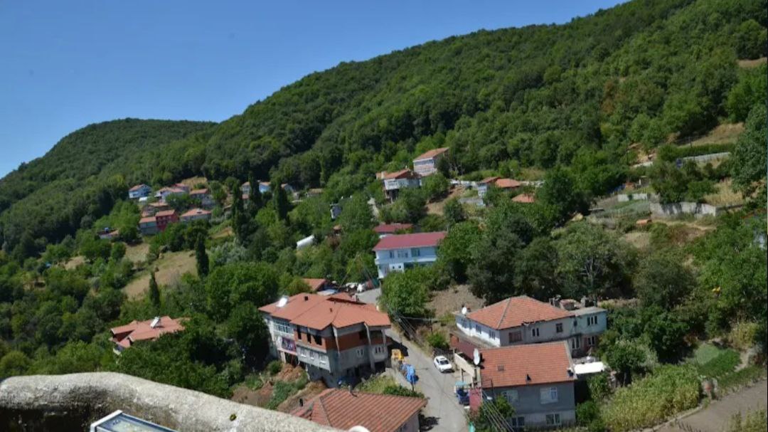Kartepe Altıoluk Yaylası