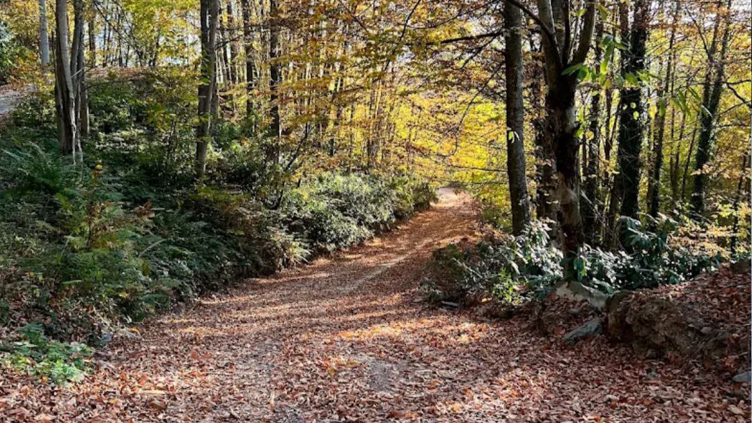 Kartepe Altıoluk Yaylası