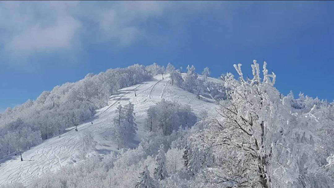 Kartepe Kayak Merkezi