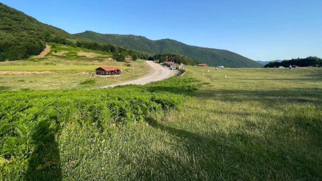 Kartepe Suadiye Tabiat Parkı