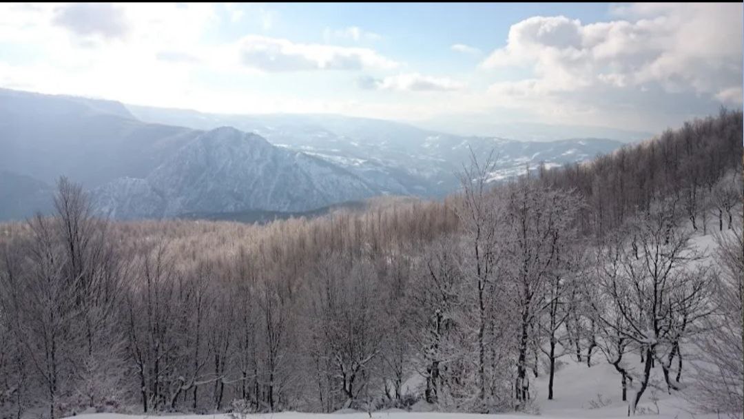 Kartepe Suadiye Tabiat Parkı
