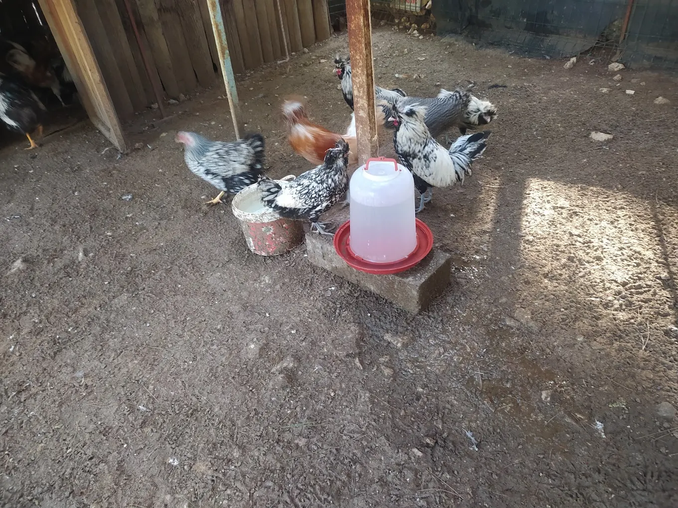 Dulkadiroğlu Doğal Yaşam Parkı