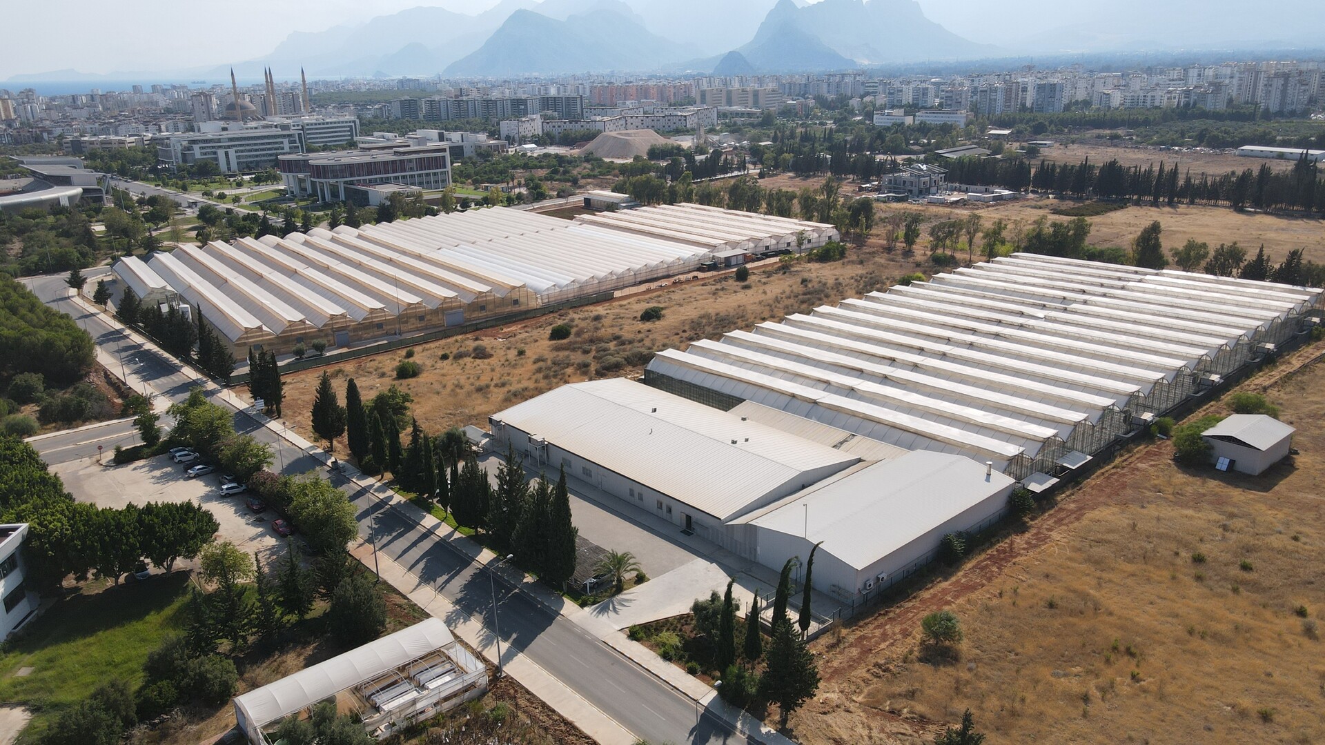 Akdeniz Üniversitesi Ziraat Fakültesi Üretim Seraları