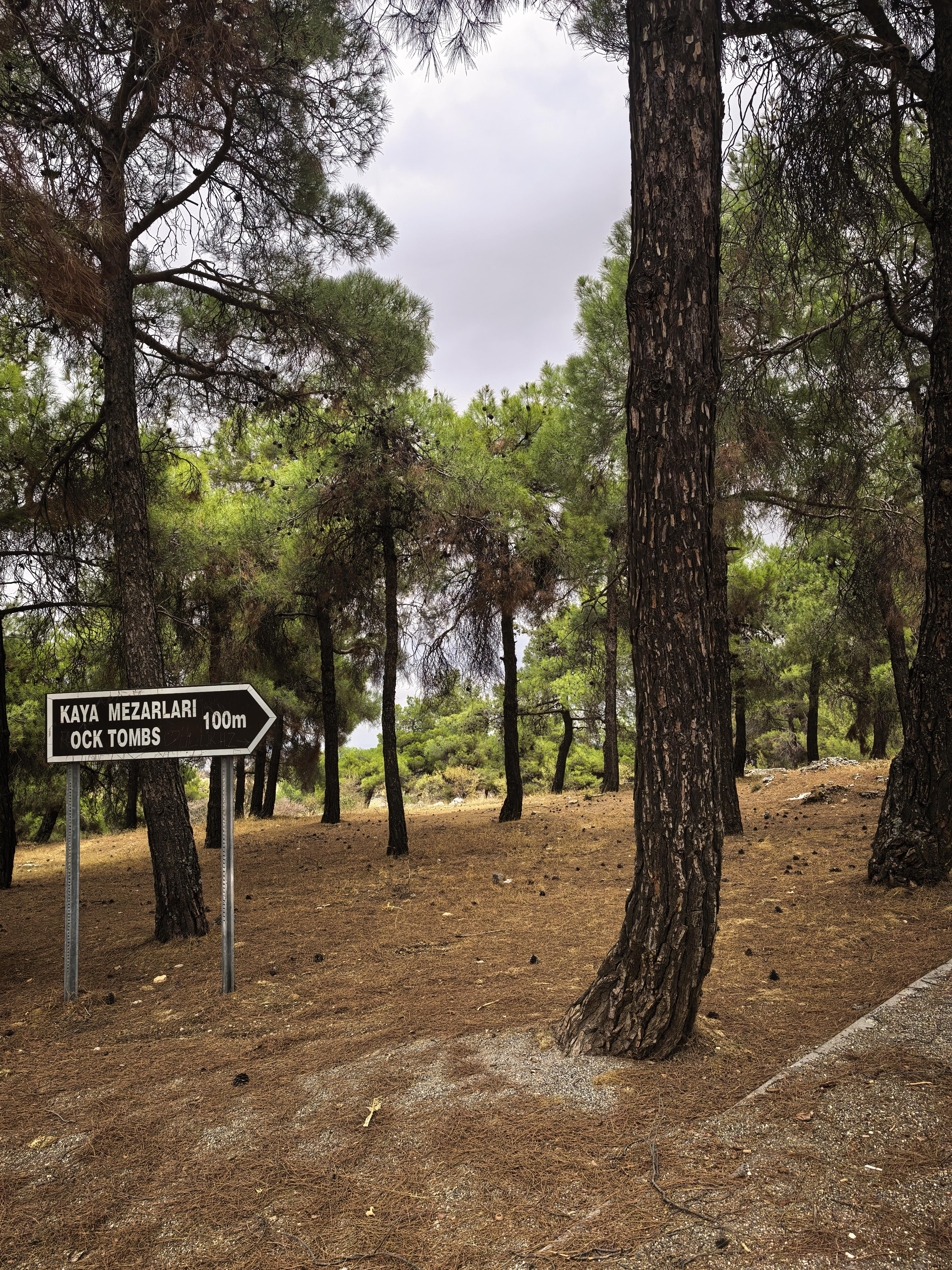 DÜLÜKBABA KAYA MEZARLARI (GAZİANTEP)