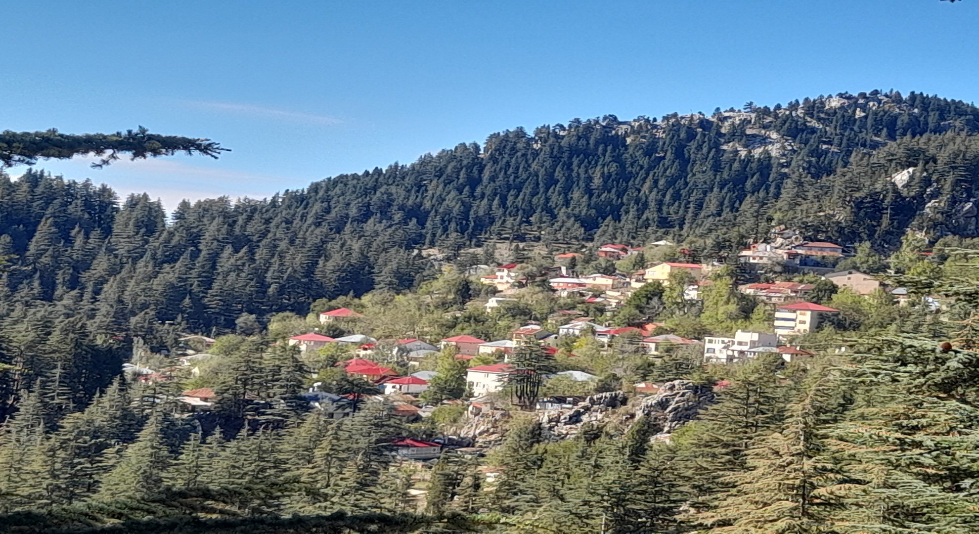 Kadirli Maksutoluğu Yaylası