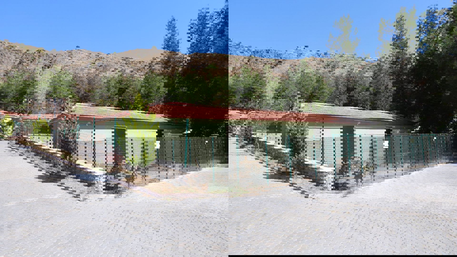 Amasya Hayvan Barınağı ve Hayvan Hastanesi