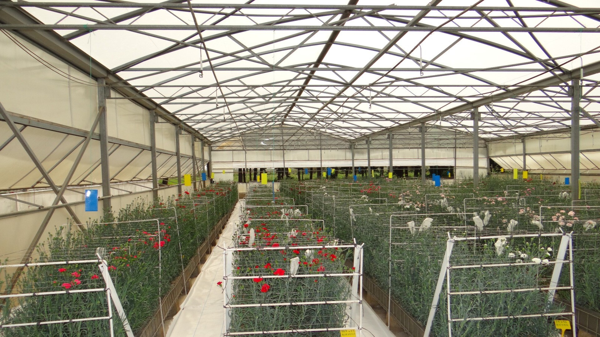 Batı Akdeniz Tarımsal Araştırma Enstitüsü Müdürlüğü (BATEM)