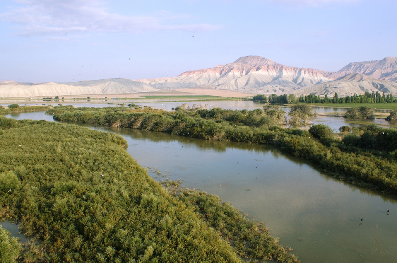 Nallıhan Kuş Cenneti