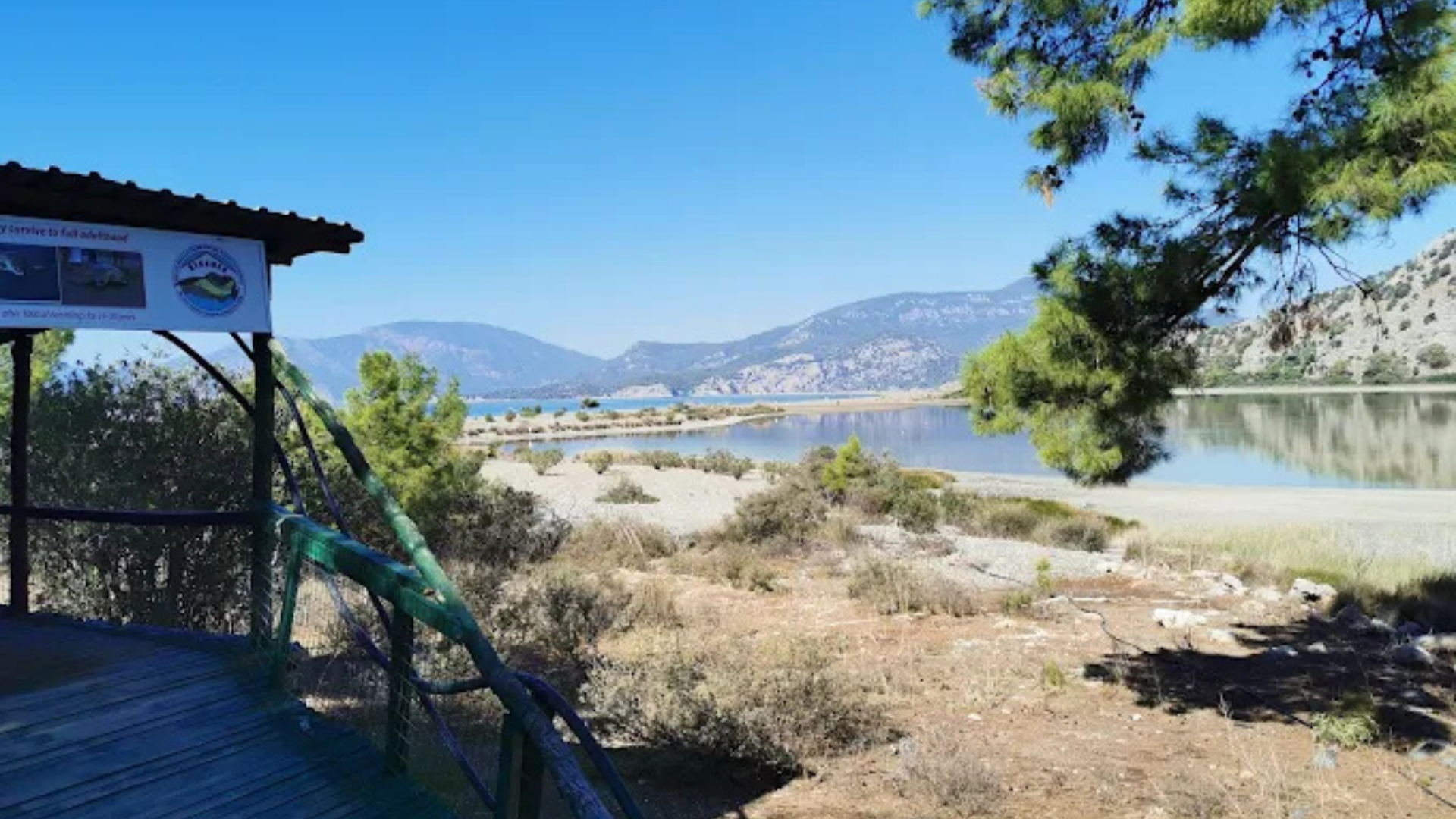 Deniz Kaplumbağaları Araştırma Kurtarma ve Rehabilitasyon Merkezi