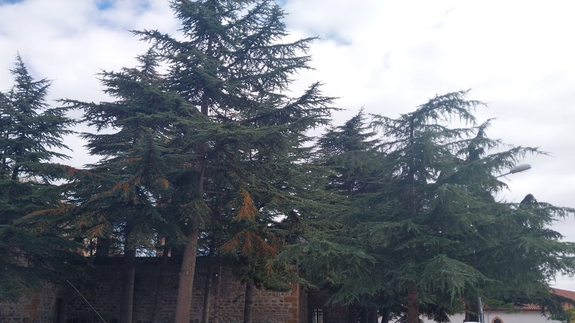 Çelebi Sultan Mehmet (Sultaniye) Medresesi