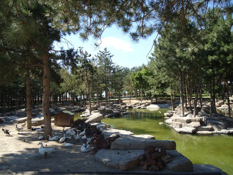 Kıranardı  Kent Ormanı ve Mesire Alanı