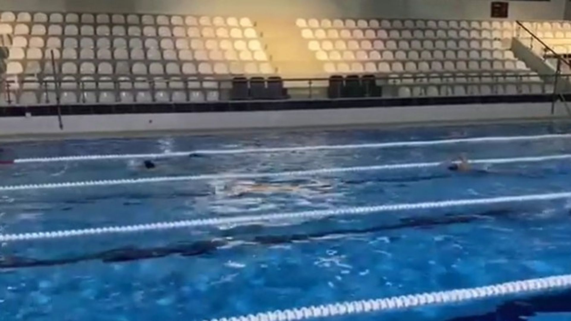 Ali Şevki Erek Kapalı Yüzme Havuzu