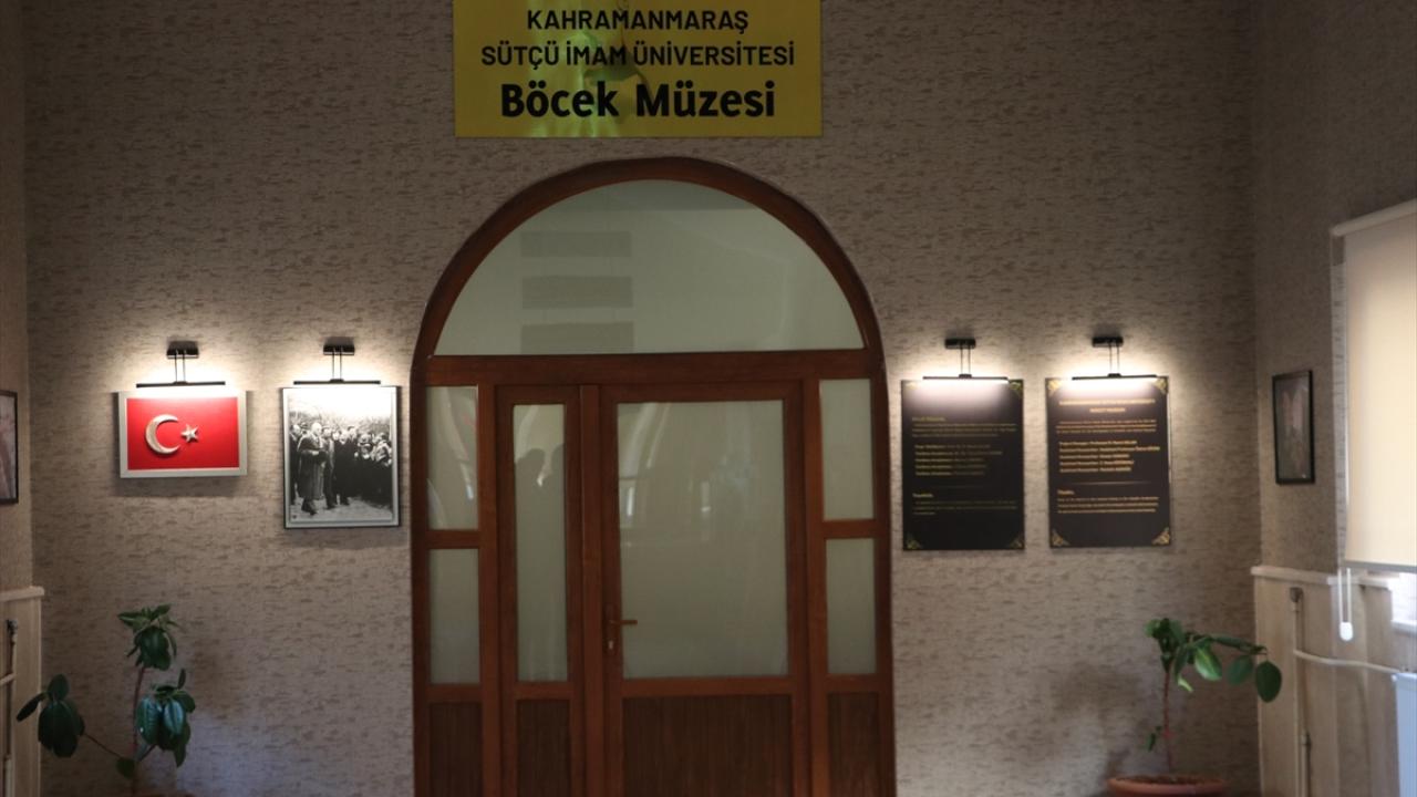 KSÜ  Böcek Müzesi
