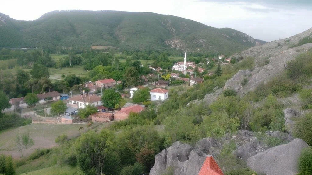Saraydüzü Yukarı Arım Kaya Mezarlığı