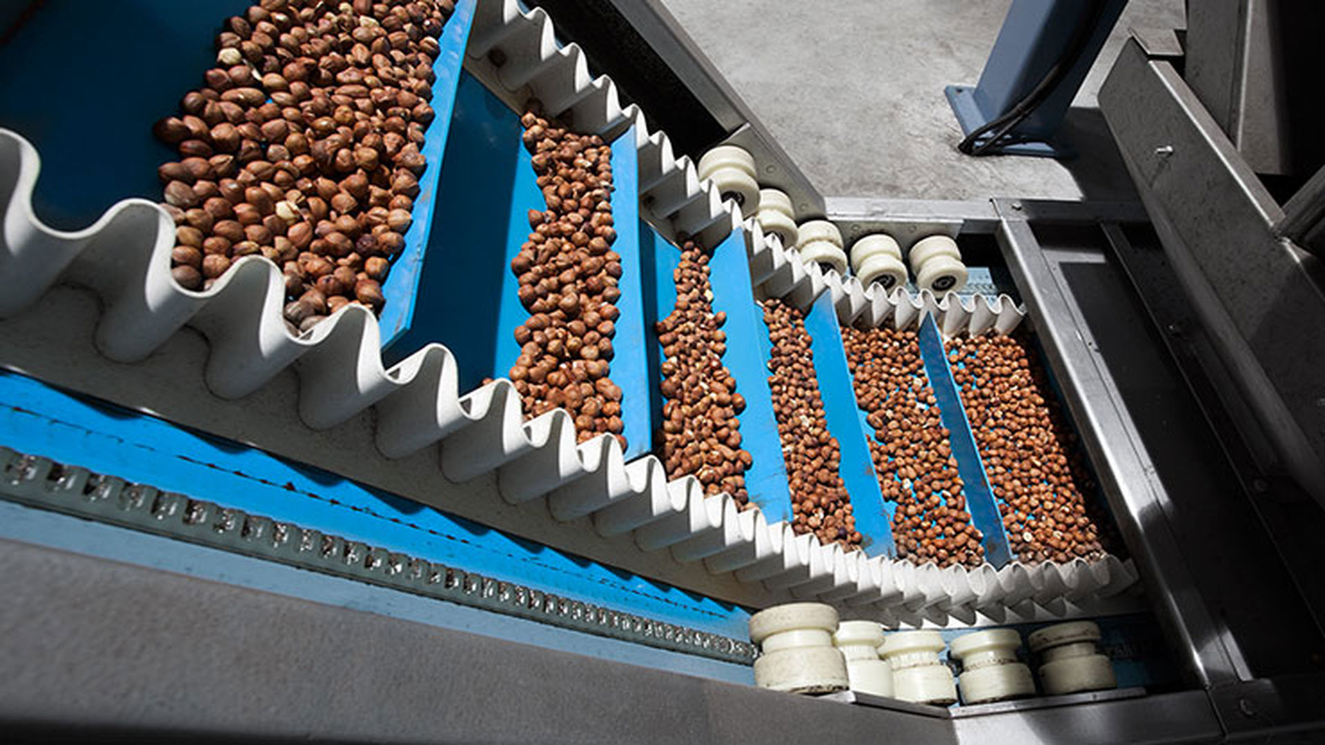 Ünye Durak Fındık Fabrika