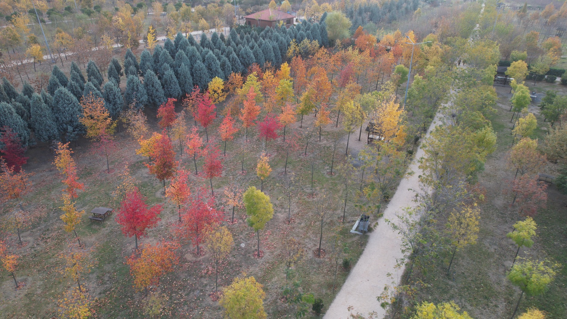 Çağdaşkent Mesire Alanı