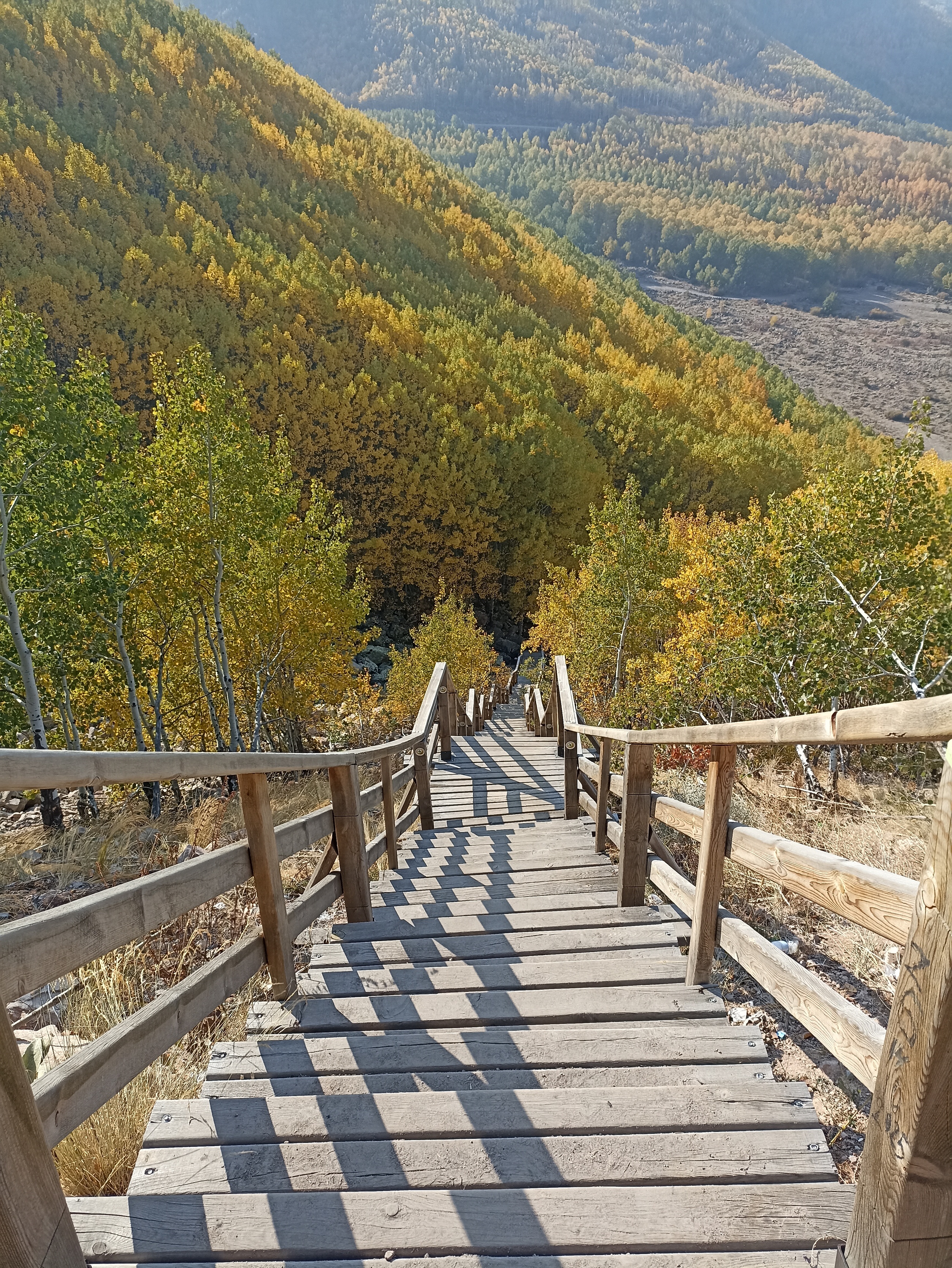 Ortaseki Erciyes Titrek Kavak Ekoturizm Alanı