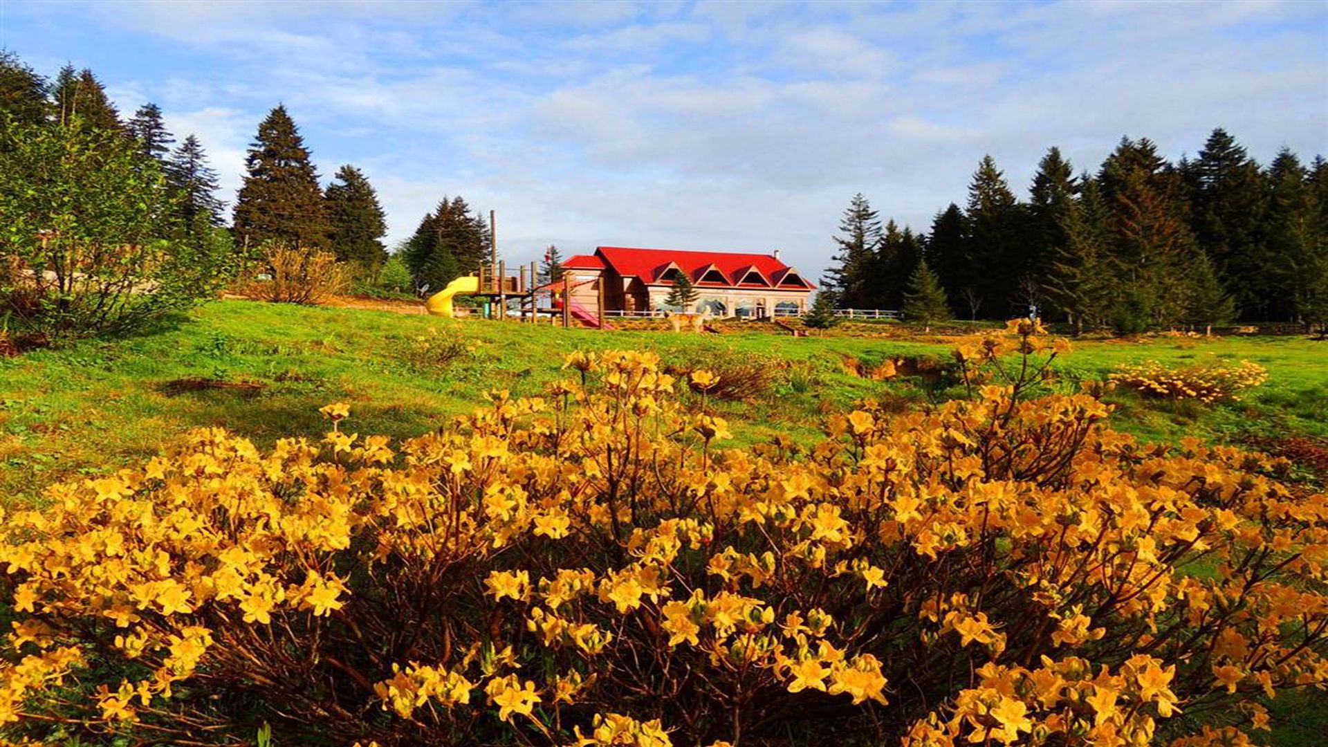 Eminem Pınarı Yokuşdibi Mesire Alanı