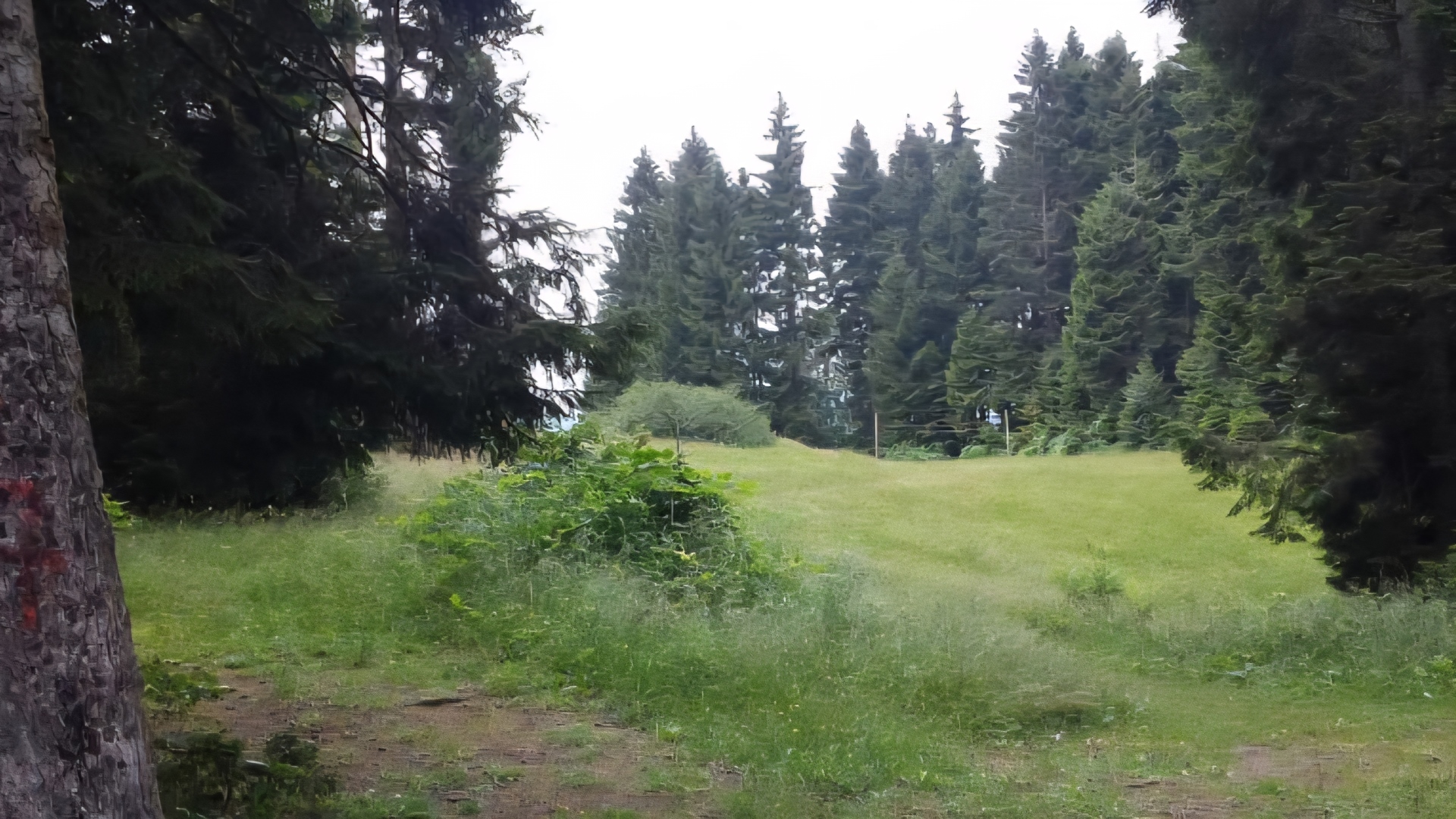 Çal Camili Tabiat Parkı