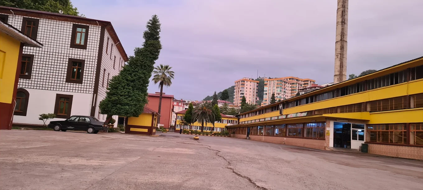 Sürmene Çaykur Fabrikası