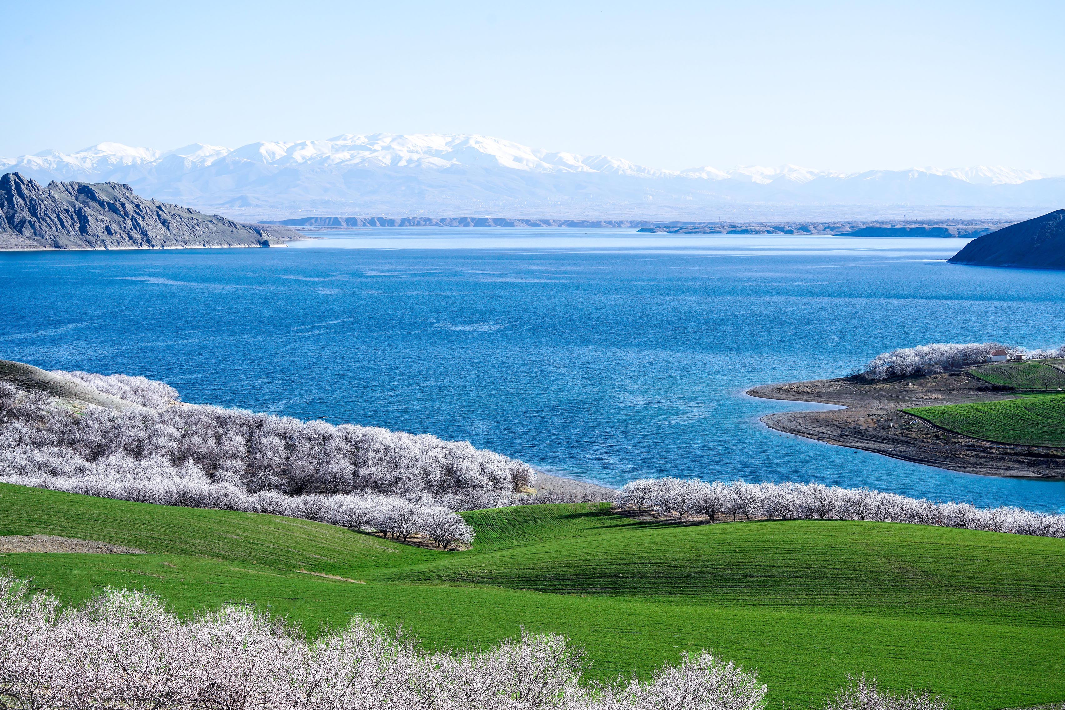 Malatya Kayısı Bahçeleri