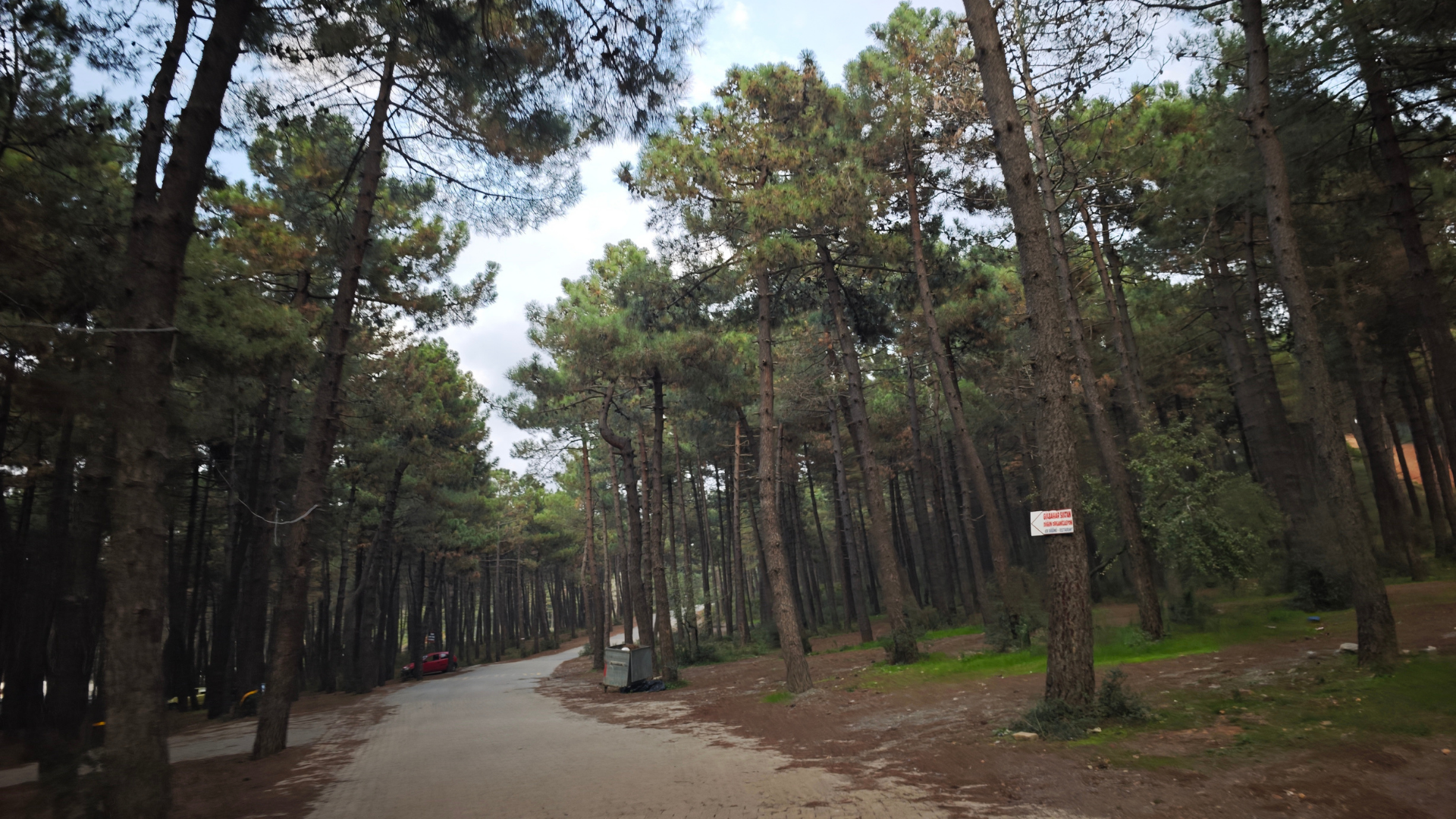 Aydos Göleti ve Mesire Alanı