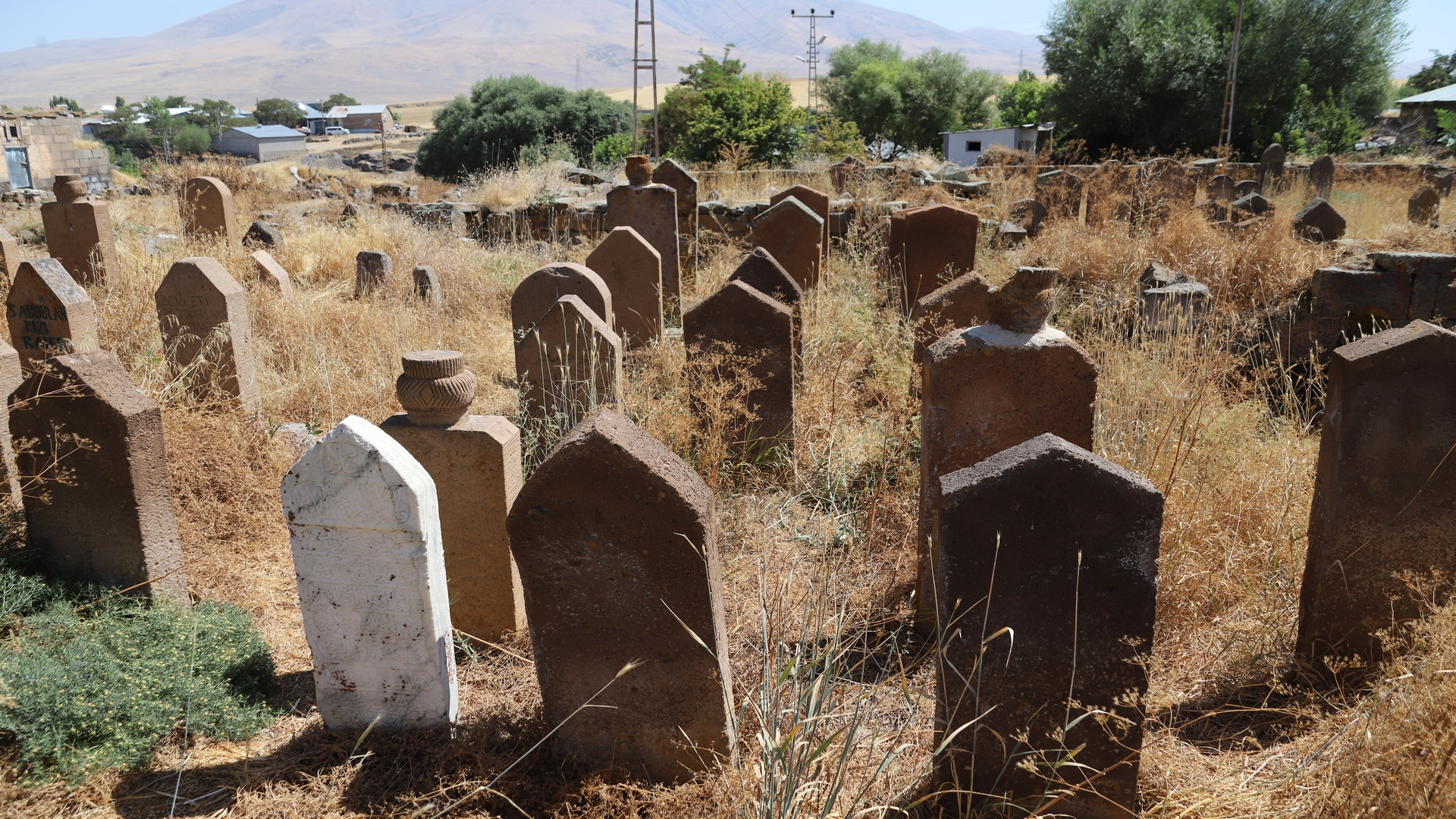 Bulanık Mollakent Selçuklu Mezarlığı