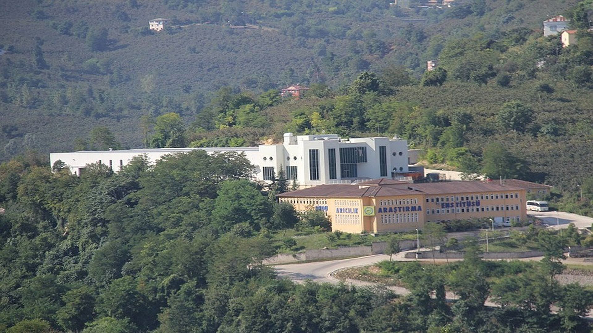 Ordu Arıcılık Araştırma Enstitüsü