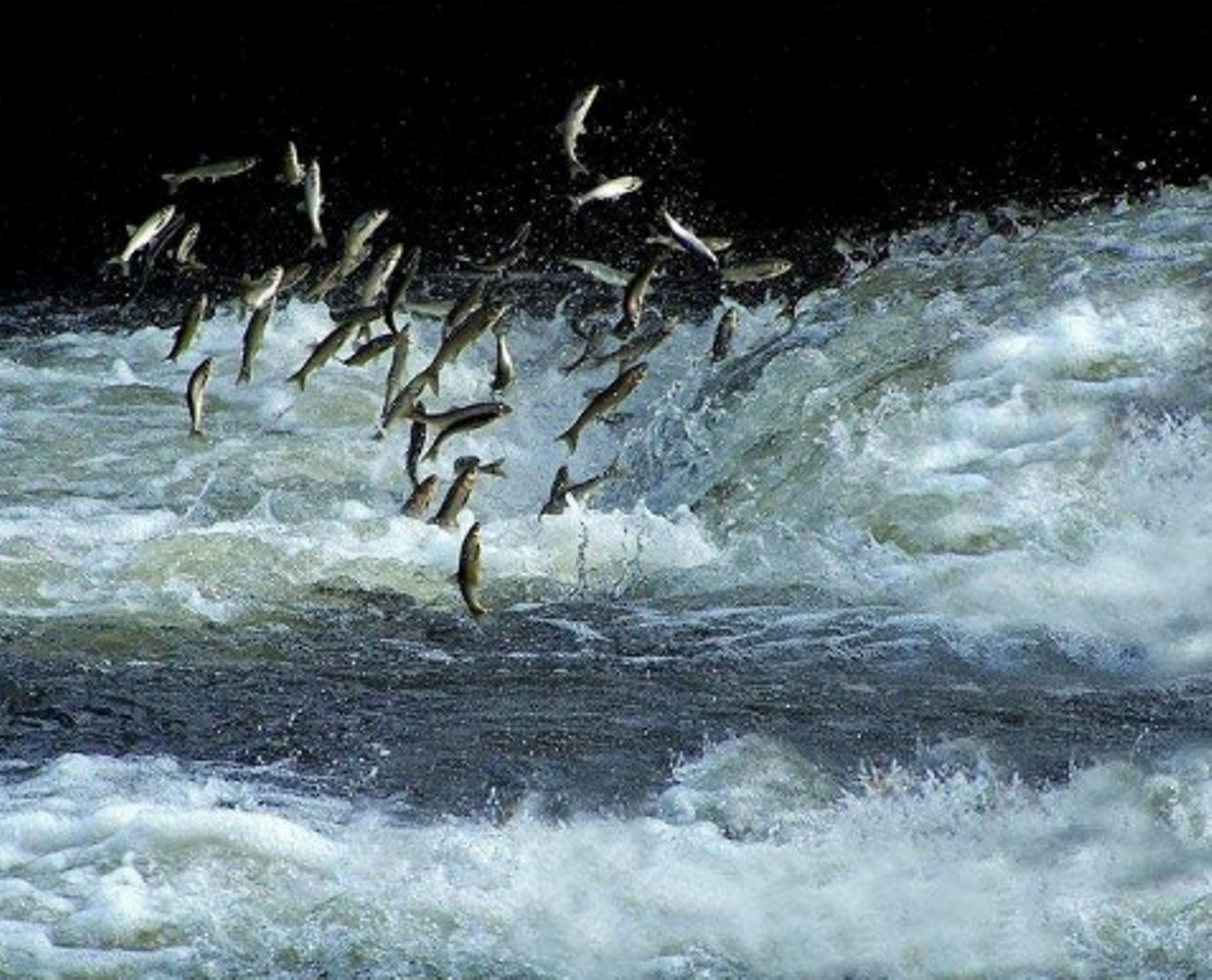 Deliçay Kalesi ve  Balık Bendi