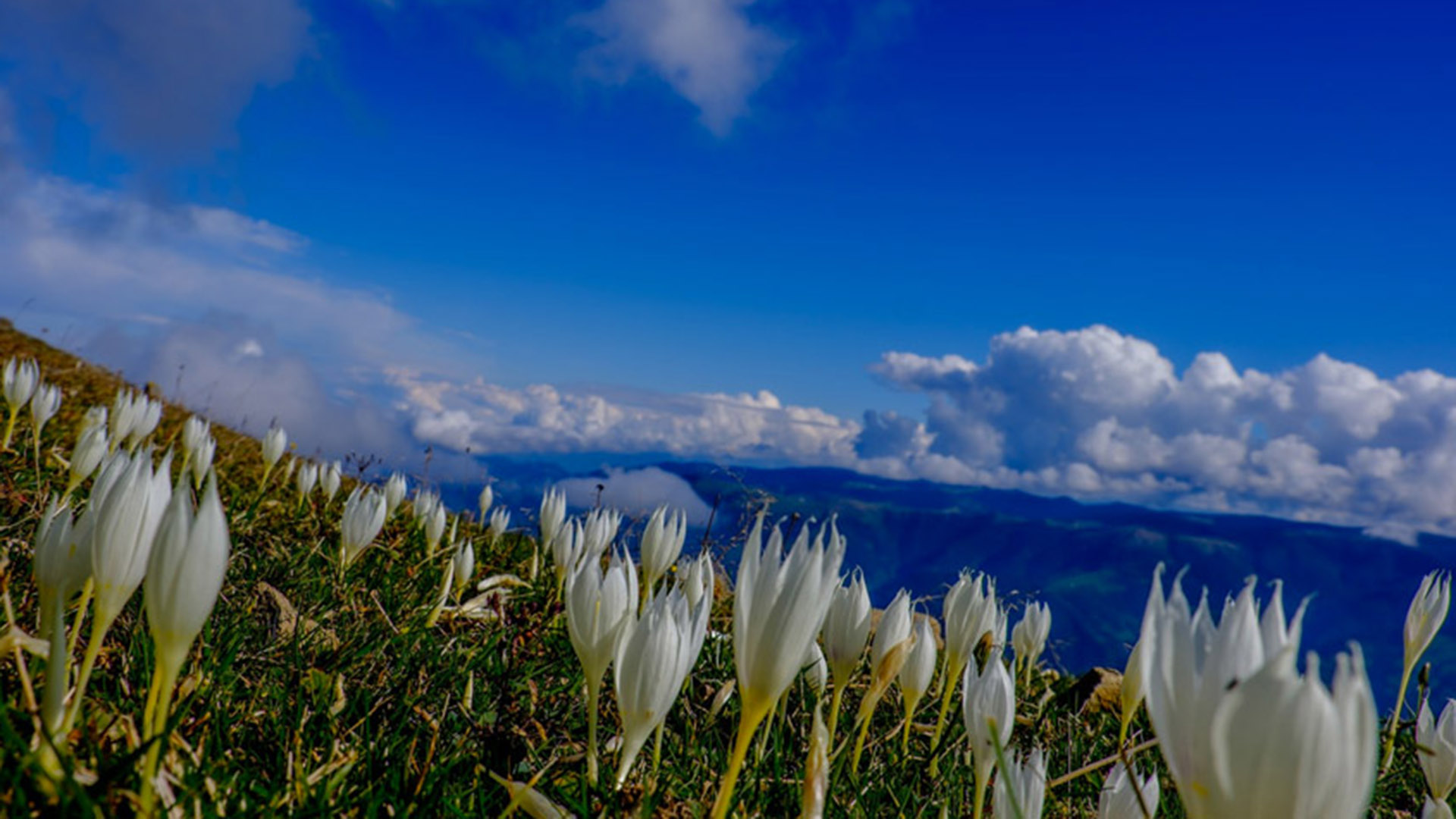 Hıdırnebi Yaylası