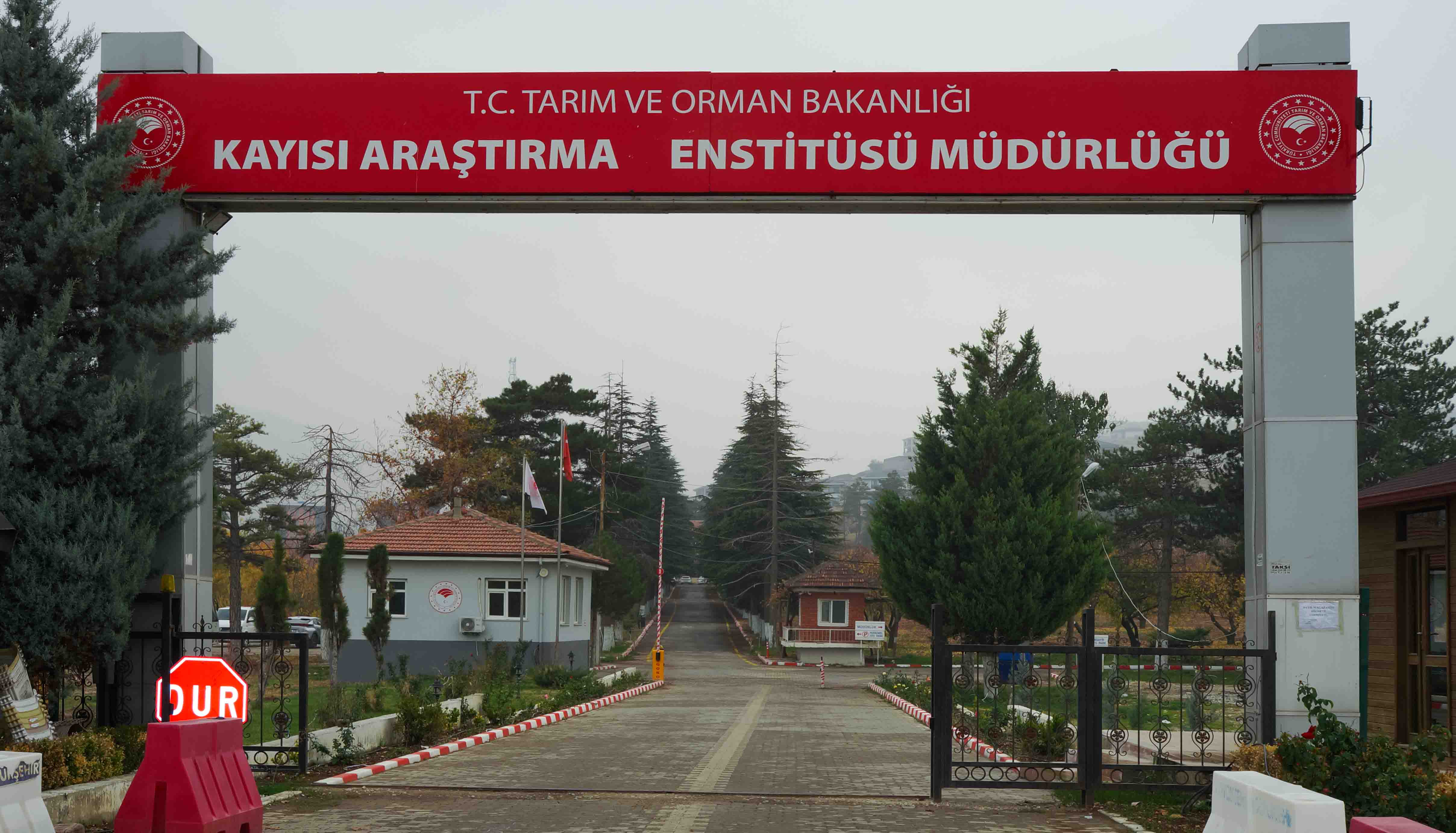 Kayısı Araştırma Enstitüsü Müdürlüğü