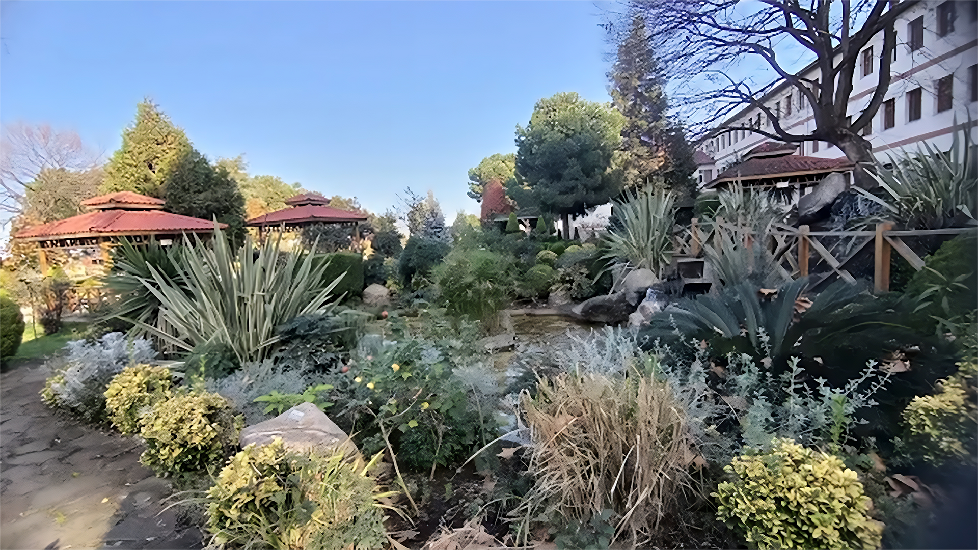 Trabzon Orman Bölge Müdürlüğü