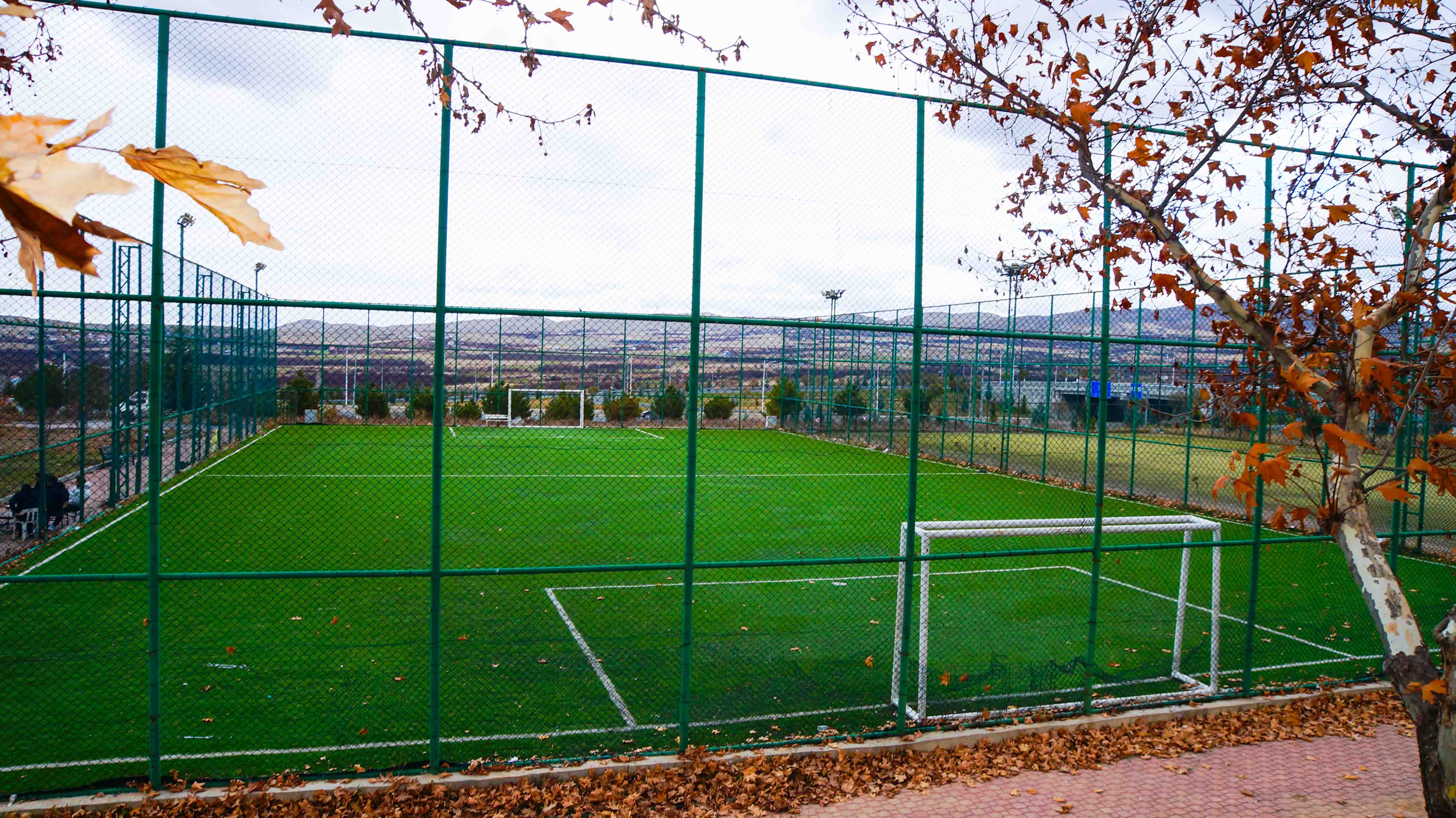 İnönü Üniversitesi Halı Sahaları