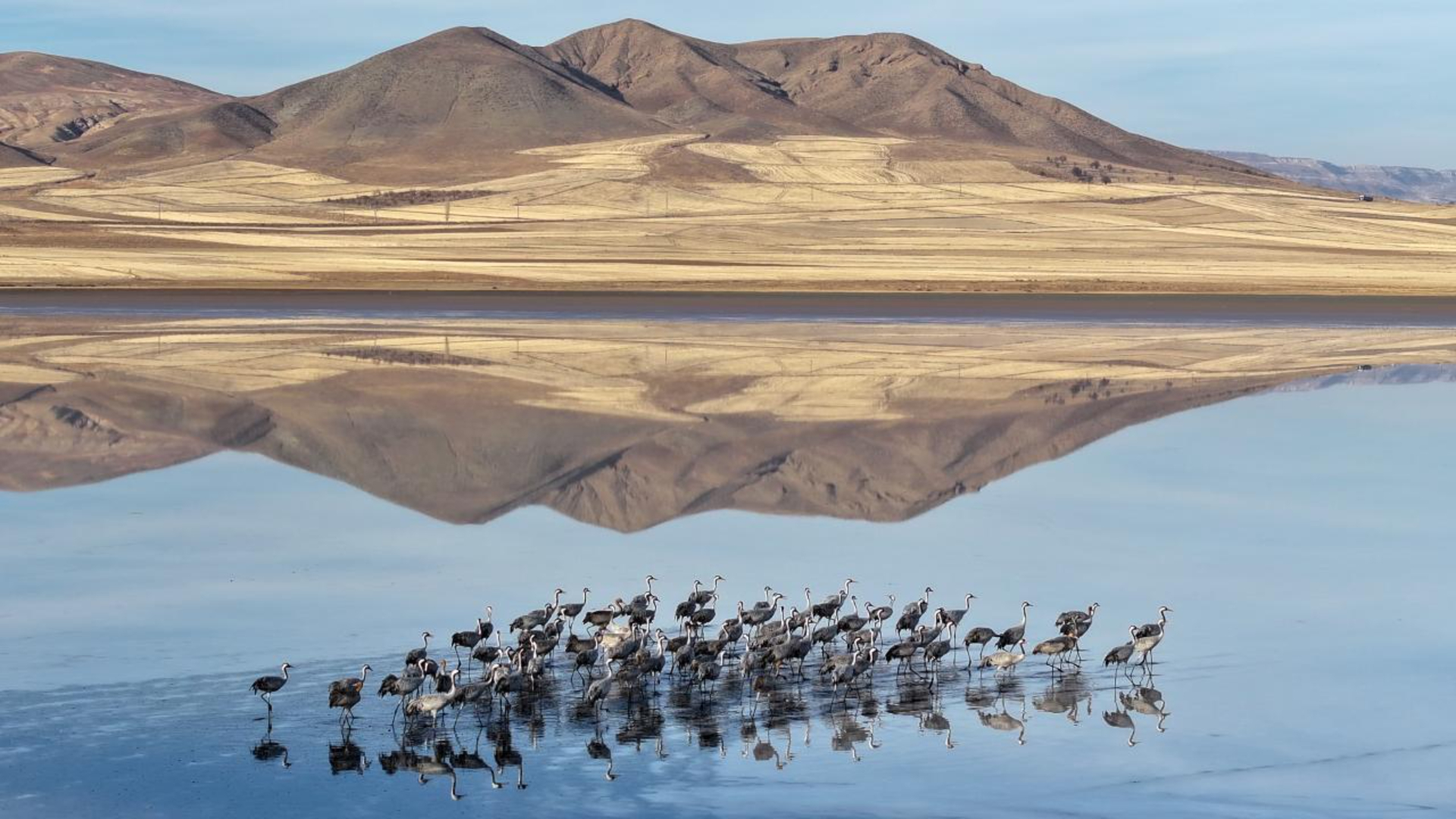 Sarıoğlan Palas Tuzla Gölü